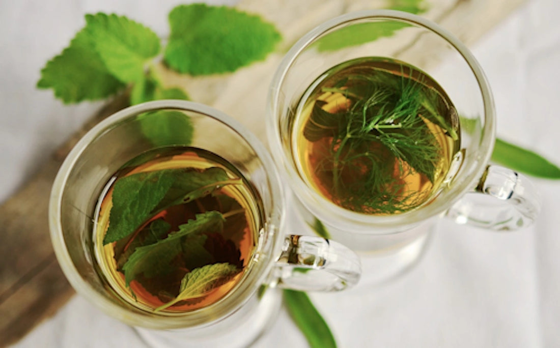 Deux tasses en verre d'infusion à la menthe