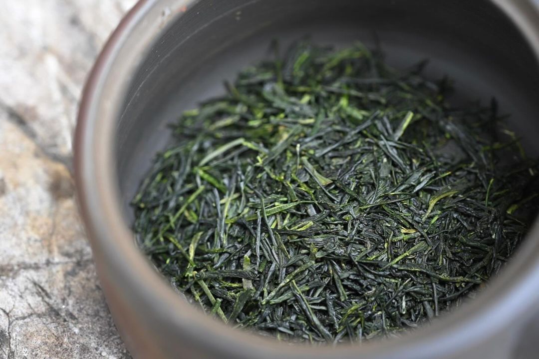 Sencha