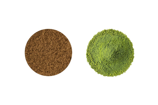 Poudre d'hojicha VS poudre de matcha